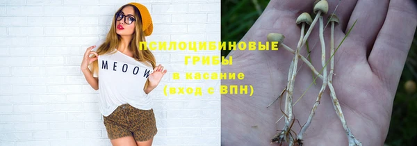 соль ск Алзамай