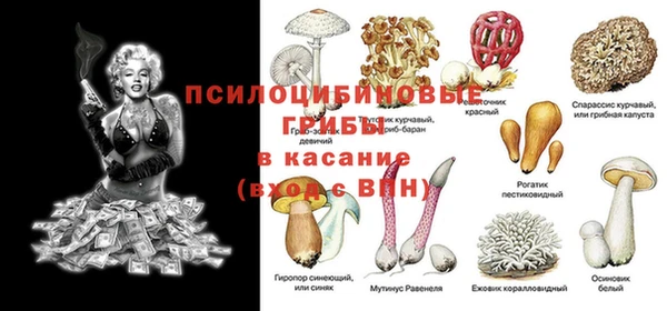 соль ск Алзамай